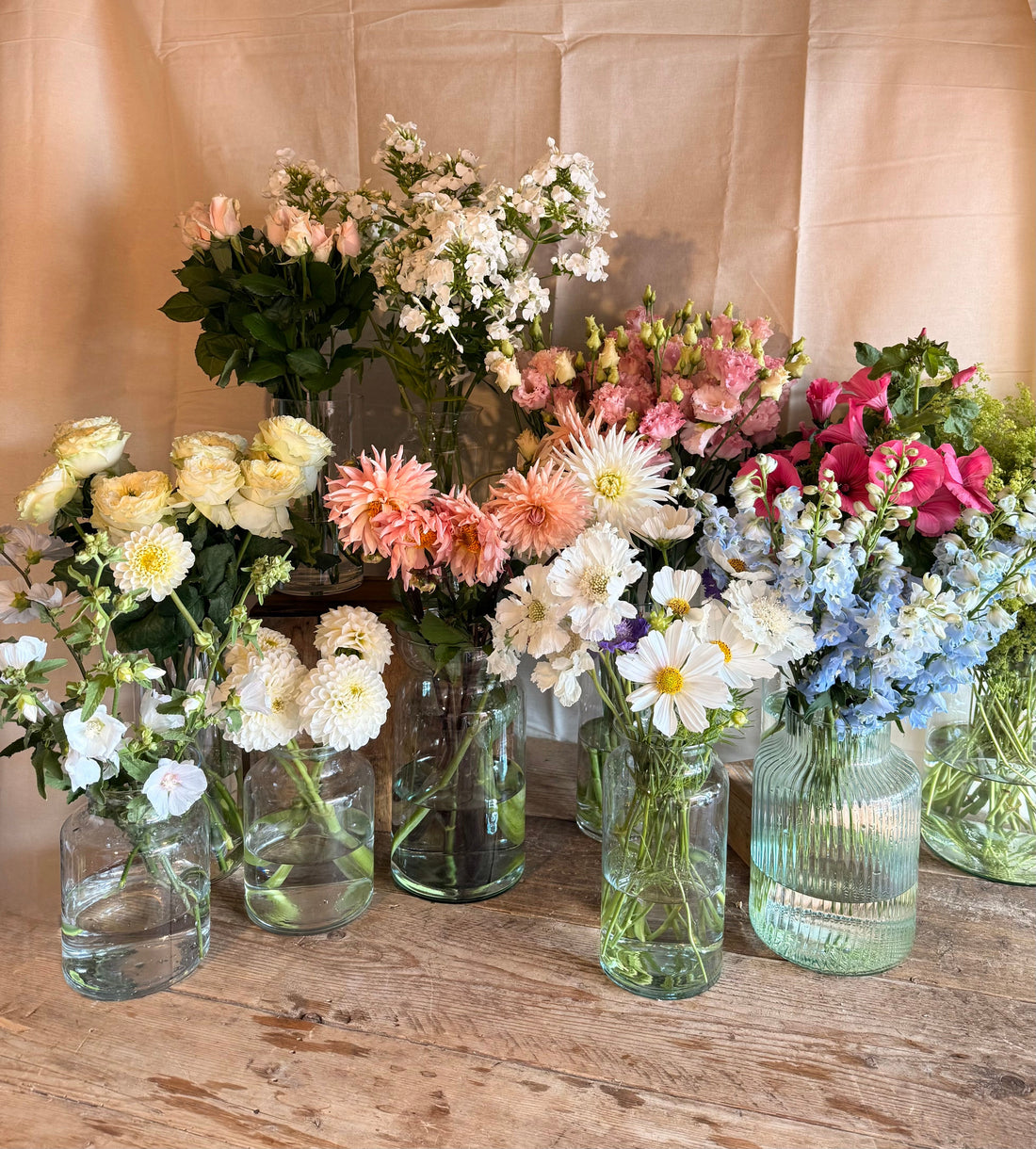 Seasonal Flowers in July: What's Blooming Right Now?