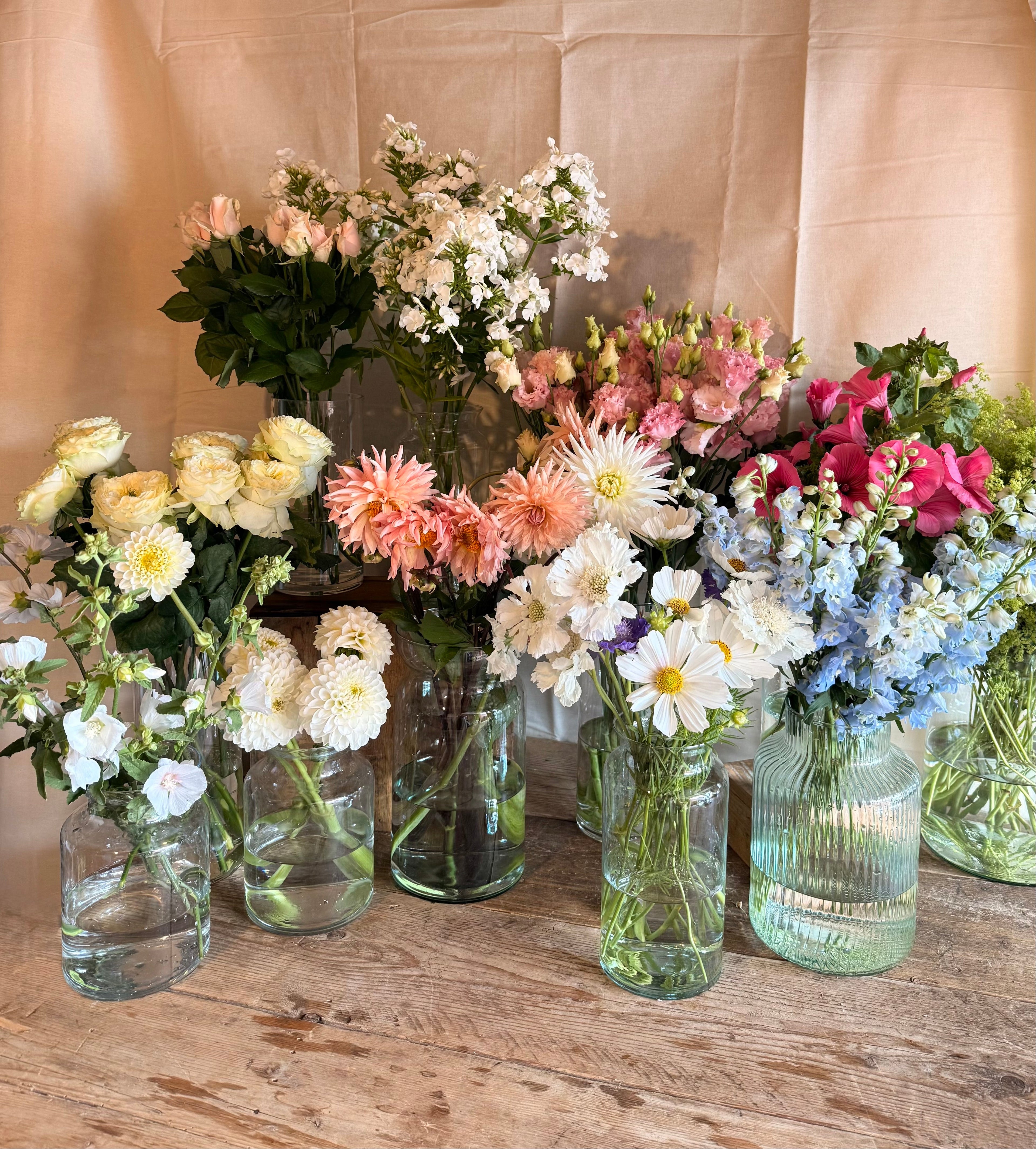 Seasonal Flowers in July: What's Blooming Right Now?